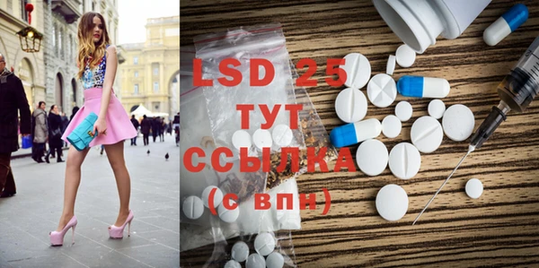 PSILOCYBIN Гусь-Хрустальный