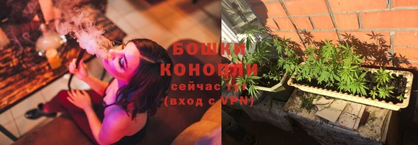 PSILOCYBIN Гусь-Хрустальный